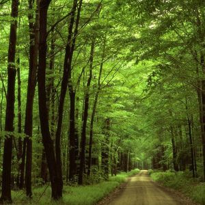 Meet your Posher, Shelly